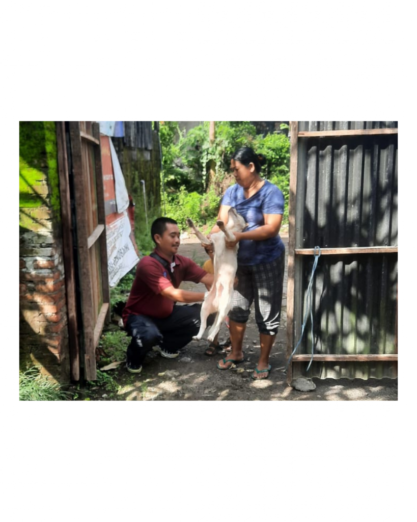 Pemberian Vaksin anti rabies untuk binatang peliharaan di desa mambal